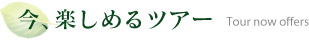 今、楽しめるツアー