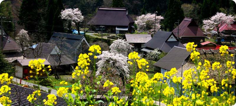 春の世屋(800)