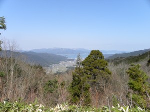 DSCN5872橋立天然杉120408