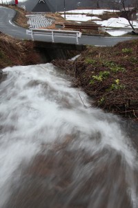 雪解け水の沢とフキノトウ