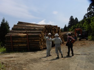 DSCN6314終点材木