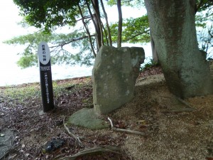 P1000305