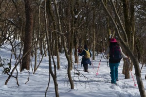 DSC_0409雪の管制塔へ林