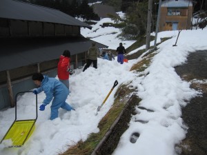 和子さんの物置裏の雪かき開始