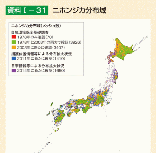 シカ分布