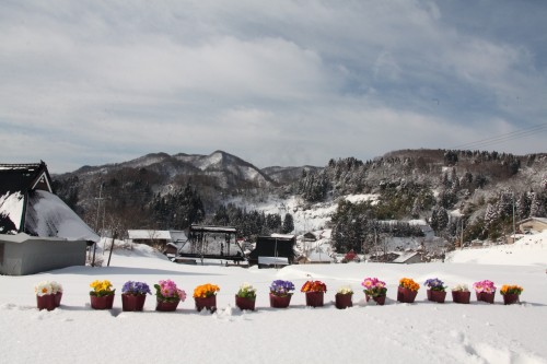 雪の世屋の花飾り