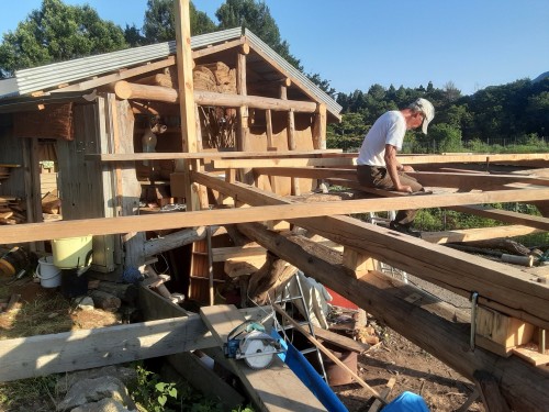 暑い夏１20250715_173648