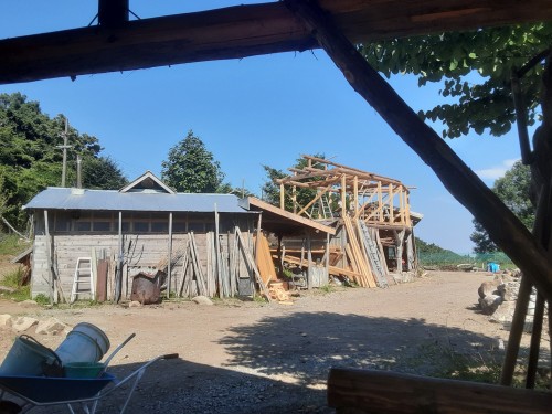 暑い夏１０20250724_154256