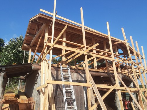 暑い夏１３20250801_154918