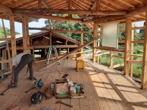 暑い夏１７20250818_150444