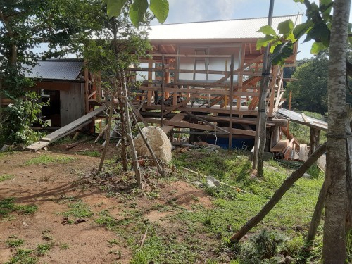 暑い夏１８0250818_150531