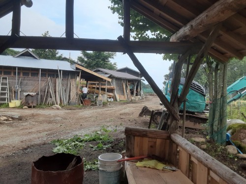 暑い夏２20250627_172458