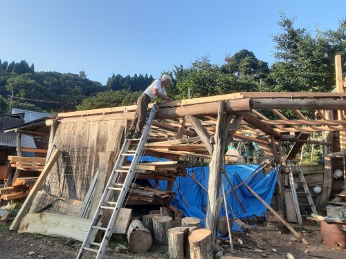 暑い夏４20250716_175655