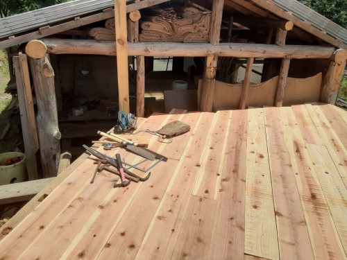 暑い夏５20250718_121933