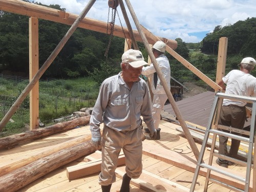 暑い夏８20250720_115602