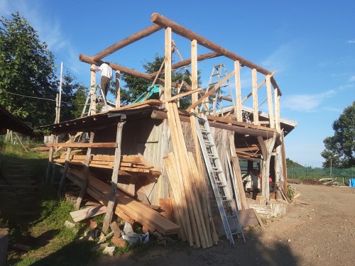 暑い夏９20250721_174126