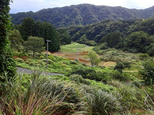 20250921_114735ポツンと一軒家