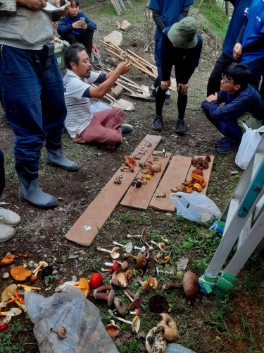 20250923_154301キノコ