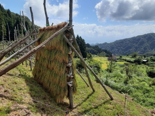 ５_丘の前棚田跡交園