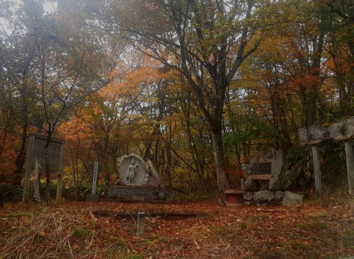 20251114_125337モミジ祭世屋高原