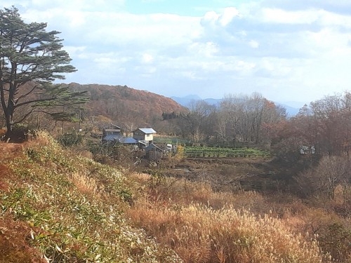 20251128_125341共生サイト