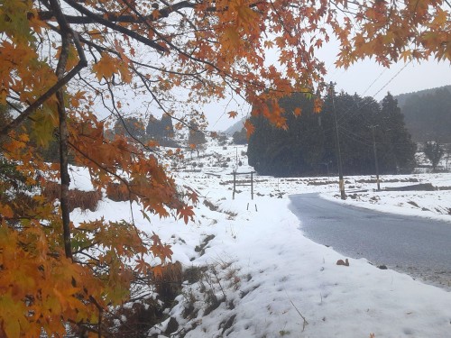 20251205_121547ここで４００ｍ