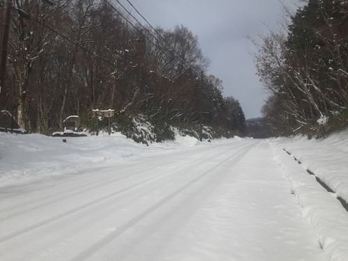 20251205_123847高原道路