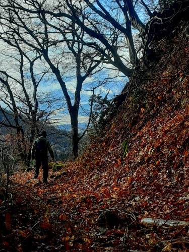 20251209_105154komakura