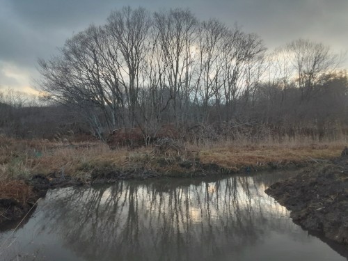 20251216_155328命眠る冬