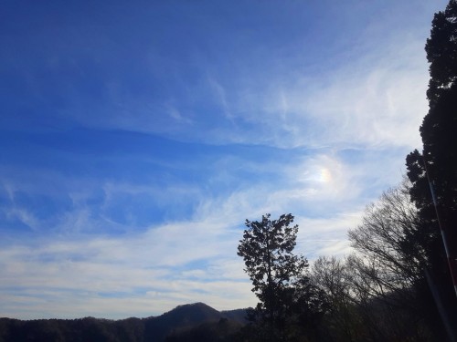 20251219_141649幻日