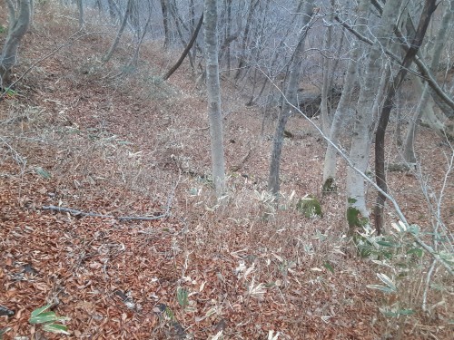 20251220_151602やまやせ