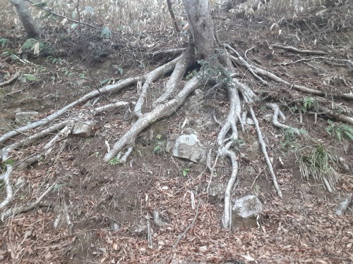 20251220_151810y山縛り