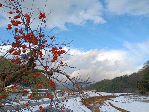 IMG_20260105_152353_1