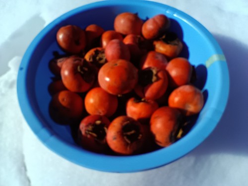 IMG_20260107_134032_1