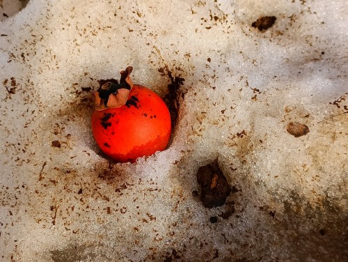 IMG_20260107_145833_1