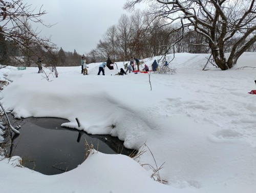 IMG_20260112_104810_1