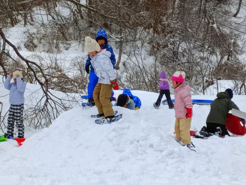 IMG_20260112_105450_1