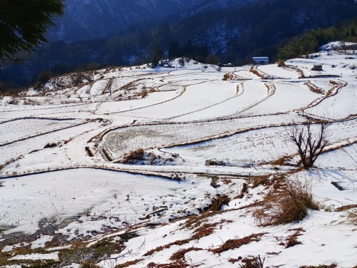 IMG_20260113_122733_1