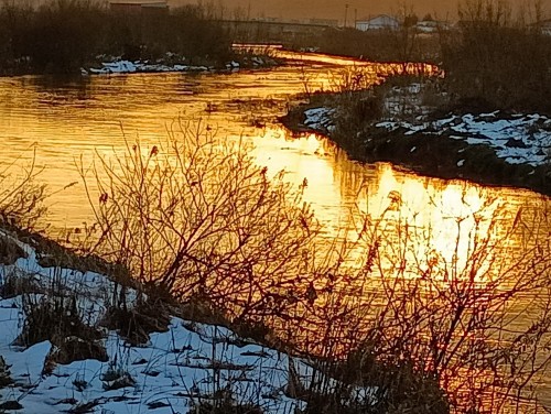 IMG_20260113_163925_1