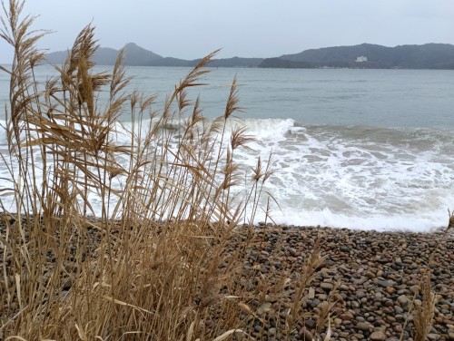 IMG_20260120_145318_1