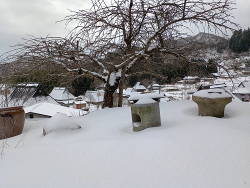 IMG_20260120_153557_1