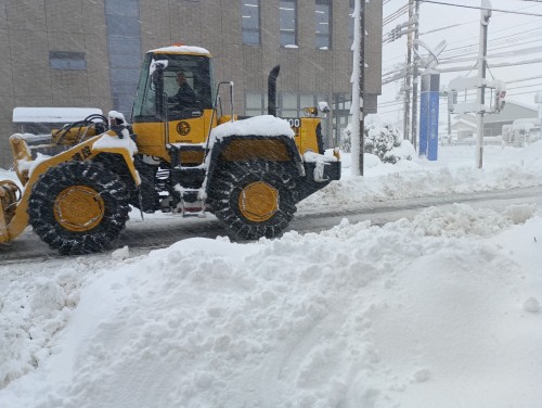 IMG_20260122_142231_1