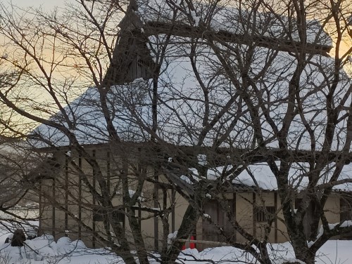 IMG_20260123_164319_1