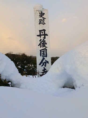 IMG_20260123_164753_1