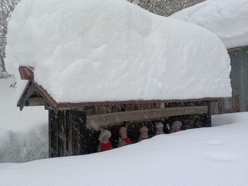 IMG_20260124_143519_1