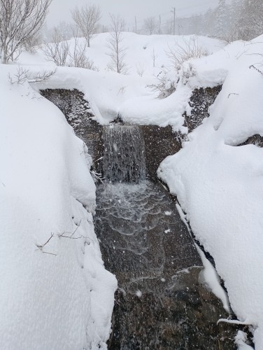 IMG_20260124_150233_1