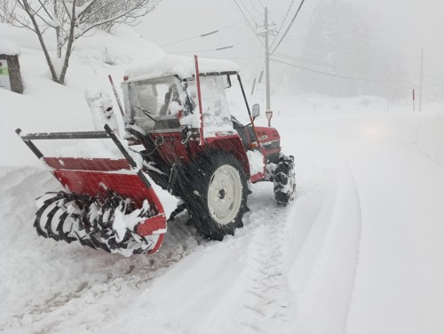 IMG_20260124_151940_1