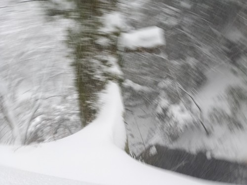 IMG_20260124_154142_1