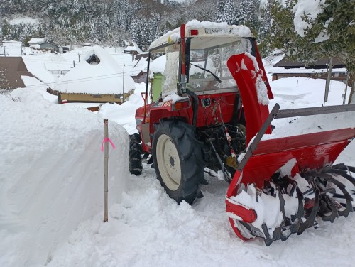 IMG_20260126_125342_1