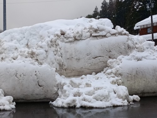 IMG_20260128_163518_1